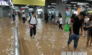 深圳哪个区地势高不会淹水 深圳地铁站被淹