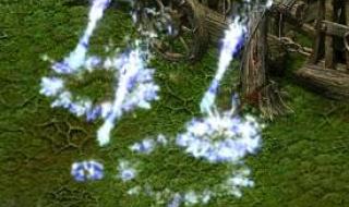 《QQ华夏战魂》分别几级抓 qq华夏战魂携带等级