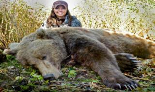 熊猫咬死人国家有赔偿吗 野生动物园熊咬死人