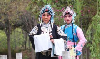 豫剧桃花庵 豫剧桃花庵